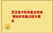 灵芝孢子粉采集全知道 探秘其采集过程与要点