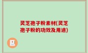 灵芝孢子粉素材(灵芝孢子粉的功效及用途)