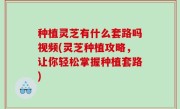 种植灵芝有什么套路吗视频(灵芝种植攻略，让你轻松掌握种植套路)