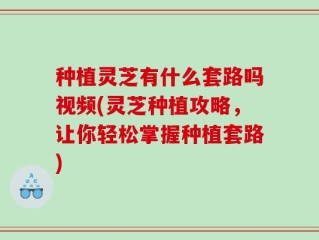 种植灵芝有什么套路吗视频(灵芝种植攻略，让你轻松掌握种植套路)