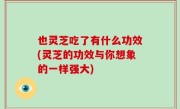 也灵芝吃了有什么功效(灵芝的功效与你想象的一样强大)