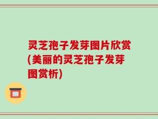 灵芝孢子发芽图片欣赏(美丽的灵芝孢子发芽图赏析)