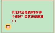 灵芝好还是鹿茸好(哪个更好？灵芝还是鹿茸？)