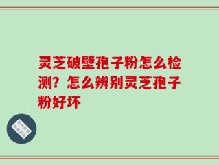 灵芝破壁孢子粉怎么检测？怎么辨别灵芝孢子粉好坏