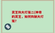 灵芝钩大灯笼二(神奇的灵芝，如何钩制大灯笼？