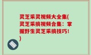 灵芝采灵视频大全集(灵芝采摘视频合集：掌握野生灵芝采摘技巧！)