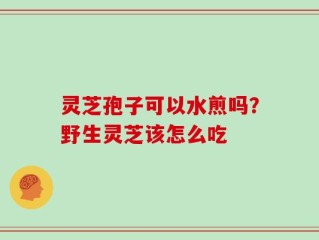 灵芝孢子可以水煎吗？野生灵芝该怎么吃