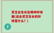 灵芝会生长在哪种环境里(适合灵芝生长的环境是什么？)