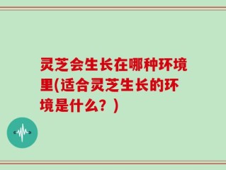 灵芝会生长在哪种环境里(适合灵芝生长的环境是什么？)