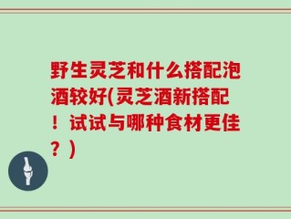 野生灵芝和什么搭配泡酒较好(灵芝酒新搭配！试试与哪种食材更佳？)