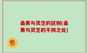 桑黄与灵芝的区别(桑黄与灵芝的不同之处)