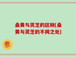 桑黄与灵芝的区别(桑黄与灵芝的不同之处)
