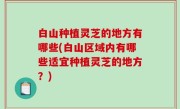 白山种植灵芝的地方有哪些(白山区域内有哪些适宜种植灵芝的地方？)