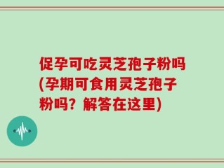 促孕可吃灵芝孢子粉吗(孕期可食用灵芝孢子粉吗？解答在这里)