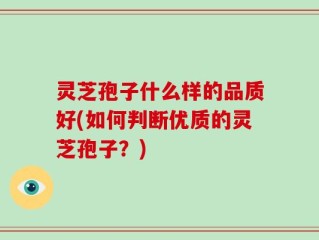 灵芝孢子什么样的品质好(如何判断优质的灵芝孢子？)