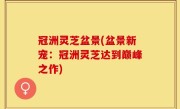 冠洲灵芝盆景(盆景新宠：冠洲灵芝达到巅峰之作)