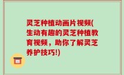 灵芝种植动画片视频(生动有趣的灵芝种植教育视频，助你了解灵芝养护技巧!)