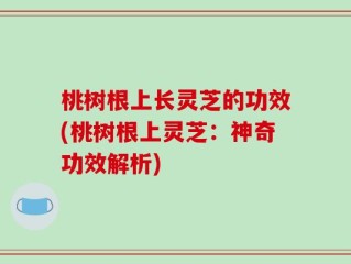 桃树根上长灵芝的功效(桃树根上灵芝：神奇功效解析)