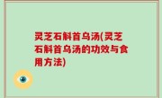 灵芝石斛首乌汤(灵芝石斛首乌汤的功效与食用方法)