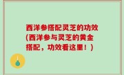 西洋参搭配灵芝的功效(西洋参与灵芝的黄金搭配，功效看这里！)