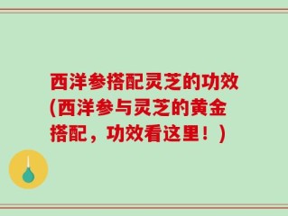 西洋参搭配灵芝的功效(西洋参与灵芝的黄金搭配，功效看这里！)