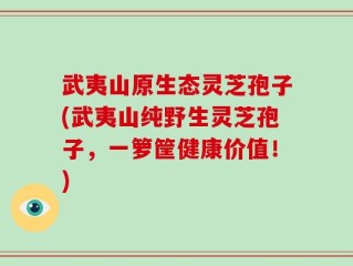 武夷山原生态灵芝孢子(武夷山纯野生灵芝孢子，一箩筐健康价值！)