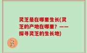灵芝是在哪里生长(灵芝的产地在哪里？——探寻灵芝的生长地)