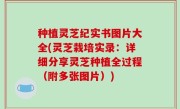 种植灵芝纪实书图片大全(灵芝栽培实录：详细分享灵芝种植全过程（附多张图片）)