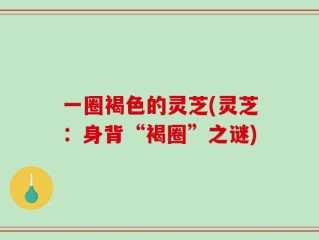 一圈褐色的灵芝(灵芝：身背“褐圈”之谜)