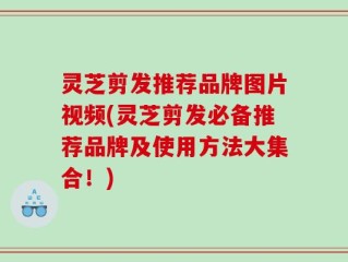 灵芝剪发推荐品牌图片视频(灵芝剪发必备推荐品牌及使用方法大集合！)