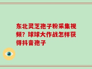 东北灵芝孢子粉采集视频？球球大作战怎样获得抖音孢子