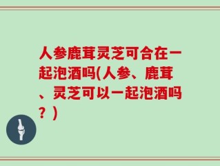人参鹿茸灵芝可合在一起泡酒吗(人参、鹿茸、灵芝可以一起泡酒吗？)