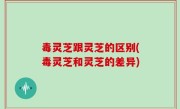 毒灵芝跟灵芝的区别(毒灵芝和灵芝的差异)