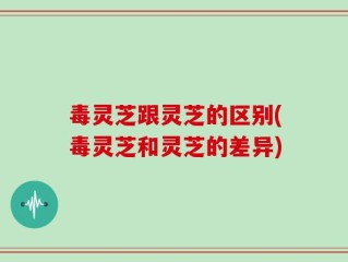 毒灵芝跟灵芝的区别(毒灵芝和灵芝的差异)