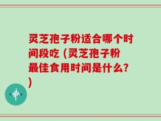 灵芝孢子粉适合哪个时间段吃 (灵芝孢子粉最佳食用时间是什么？)
