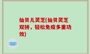 仙贝儿灵芝(仙贝灵芝双拼，轻松免疫多重功效)