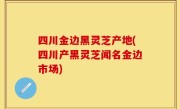 四川金边黑灵芝产地(四川产黑灵芝闻名金边市场)