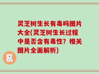 灵芝树生长有毒吗图片大全(灵芝树生长过程中是否含有毒性？相关图片全面解析)