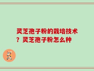 灵芝孢子粉的栽培技术？灵芝孢子粉怎么种