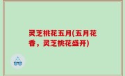 灵芝桃花五月(五月花香，灵芝桃花盛开)