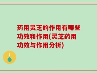 药用灵芝的作用有哪些功效和作用(灵芝药用功效与作用分析)