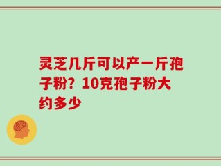 灵芝几斤可以产一斤孢子粉？10克孢子粉大约多少