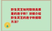 野生灵芝如何取得高质量的孢子粉？详细介绍野生灵芝的孢子粉提取方法？