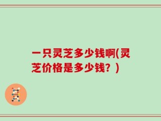 一只灵芝多少钱啊(灵芝价格是多少钱？)
