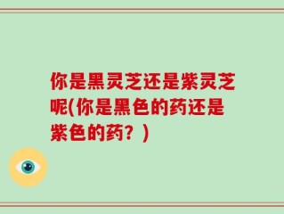 你是黑灵芝还是紫灵芝呢(你是黑色的药还是紫色的药？)