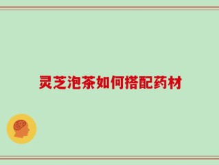 灵芝泡茶如何搭配药材