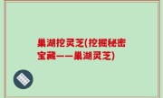 巢湖挖灵芝(挖掘秘密宝藏——巢湖灵芝)