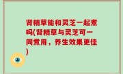 肾精草能和灵芝一起煮吗(肾精草与灵芝可一同煮用，养生效果更佳)