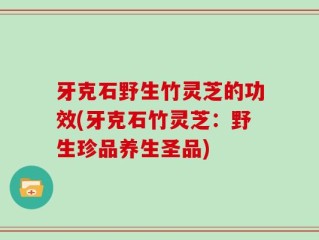 牙克石野生竹灵芝的功效(牙克石竹灵芝：野生珍品养生圣品)