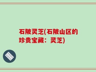 石陂灵芝(石陂山区的珍贵宝藏：灵芝)